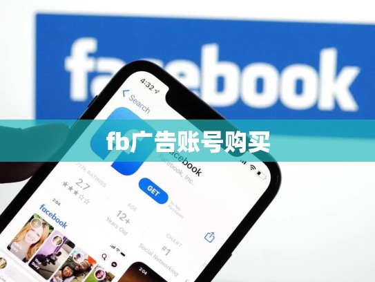 fb广告账号购买