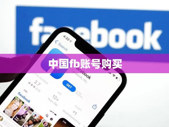 中国fb账号购买