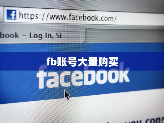 fb账号大量购买