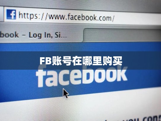 FB账号在哪里购买