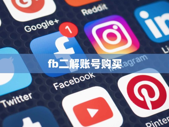 fb二解账号购买
