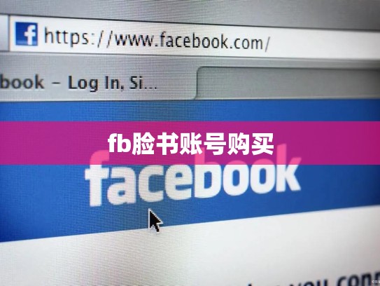 fb脸书账号购买