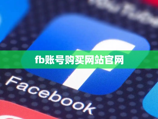 fb账号购买网站官网