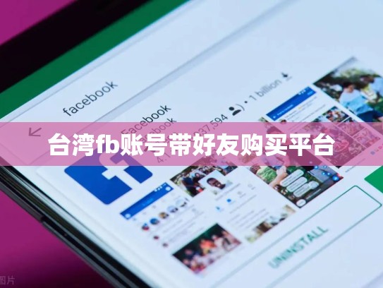 台湾fb账号带好友购买平台
