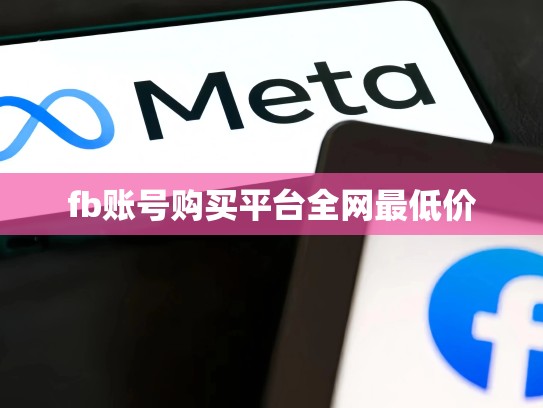fb账号购买平台全网最低价