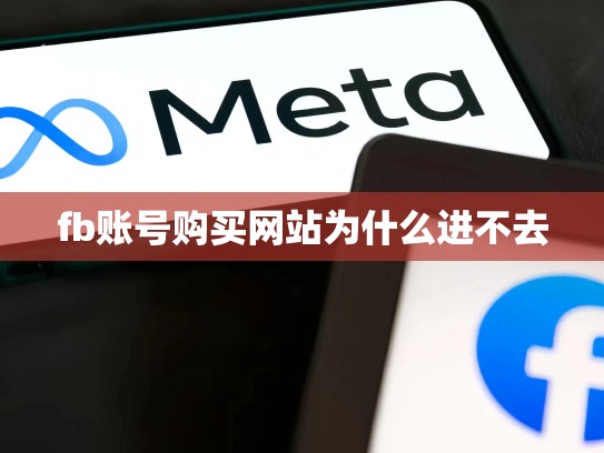 fb账号购买网站为什么进不去