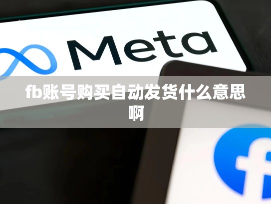 fb账号购买自动发货什么意思啊