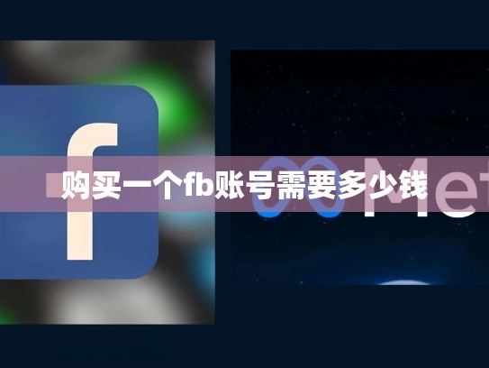 购买一个fb账号需要多少钱