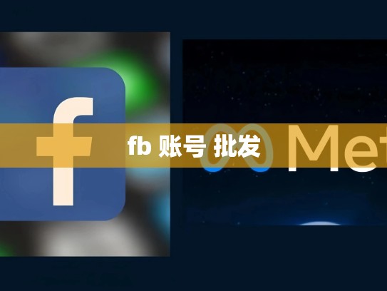 fb 账号 批发
