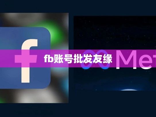 fb账号批发友缘