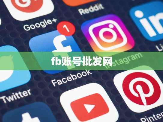 fb账号批发网