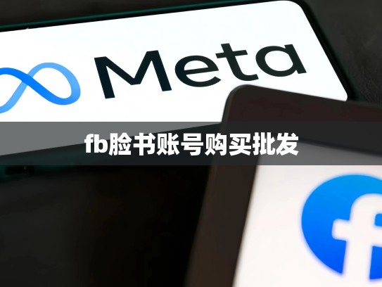 fb脸书账号购买批发