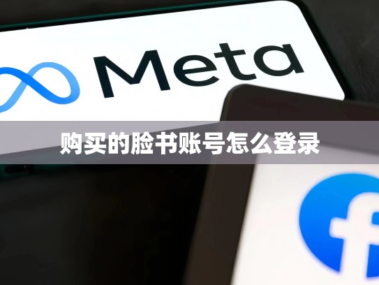 购买的脸书账号怎么登录