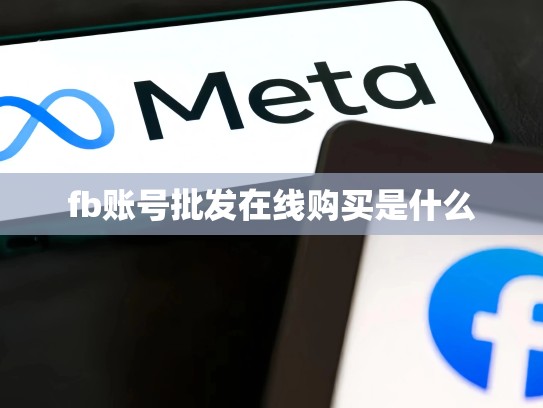 fb账号批发在线购买是什么