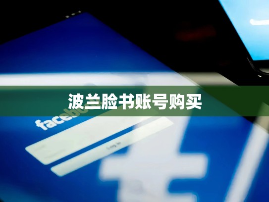 波兰脸书账号购买