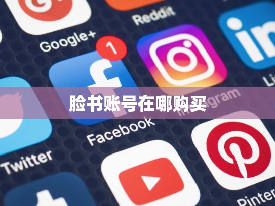 脸书账号在哪购买