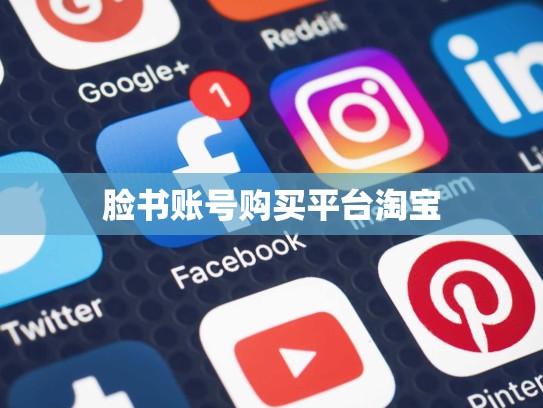 脸书账号购买平台淘宝