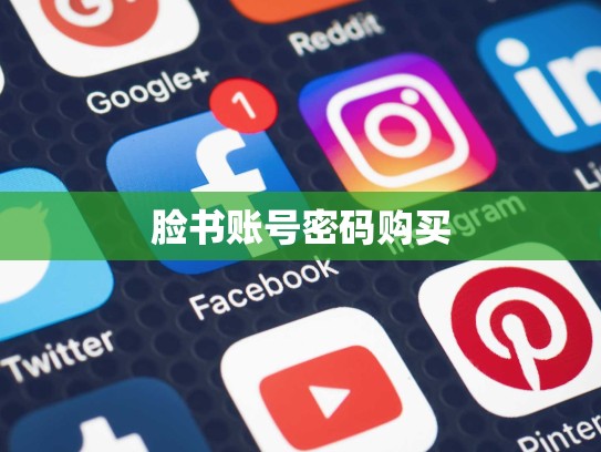 脸书账号密码购买