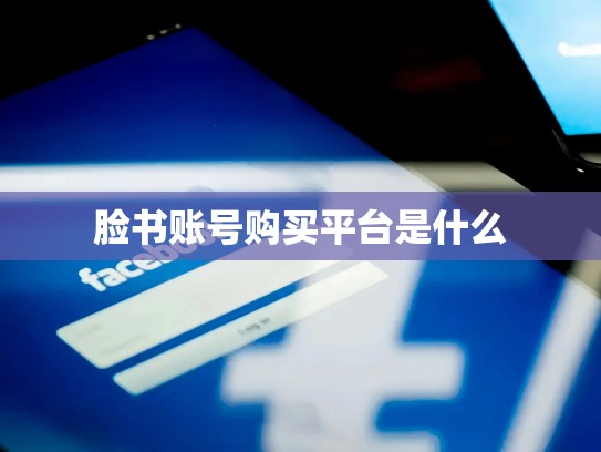 脸书账号购买平台是什么