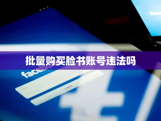 批量购买脸书账号违法吗