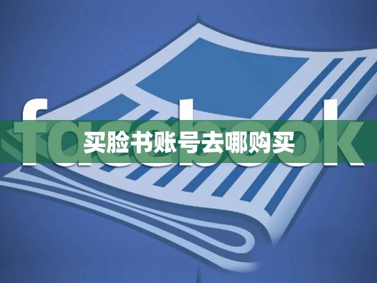 买脸书账号去哪购买