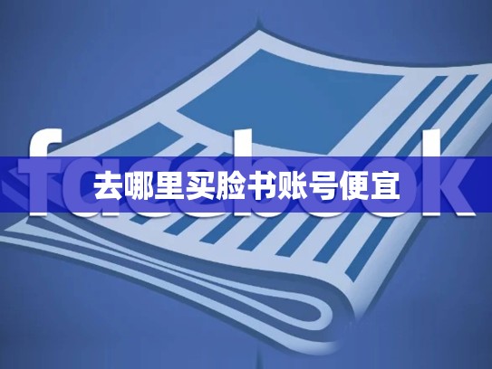 去哪里买脸书账号便宜