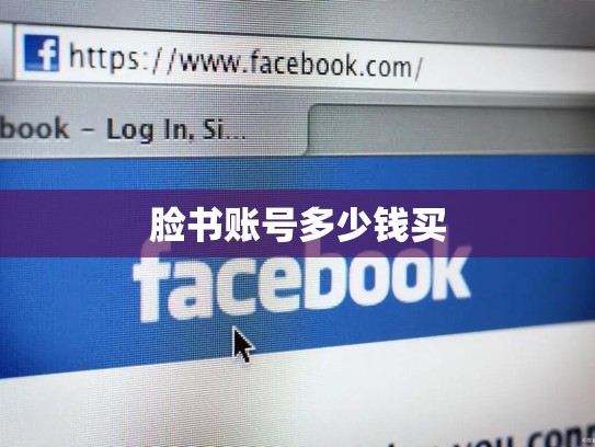 脸书账号多少钱买