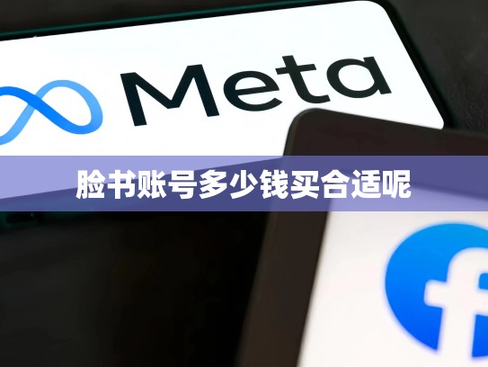 脸书账号多少钱买合适呢