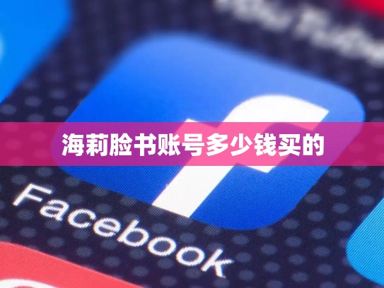 海莉脸书账号多少钱买的