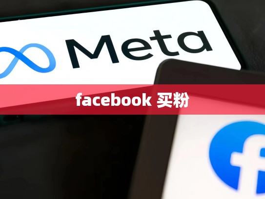 facebook 买粉